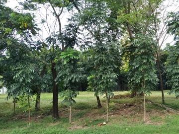Tanah Kosong International Village Citraland