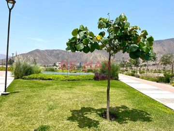 🔥 Remato Terreno En Asia – Monte Alto | Us$ 29,000 | Precio De Oportunidad 🌴🏡