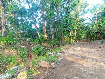 Tanah Dijual Klaten Dekat Polsek Juwiring SHM Pecah Unit
