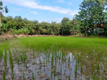 Tanah Dijual Klaten Dekat Polsek Juwiring SHM Pecah Unit