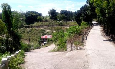 MOST AFFORDABLE READY FOR BUILDING 60 SQM Lot for Sale in Jordan Heights CONSOLACION CEBU