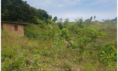 MOST AFFORDABLE READY FOR BUILDING 60 SQM Lot for Sale in Jordan Heights CONSOLACION CEBU