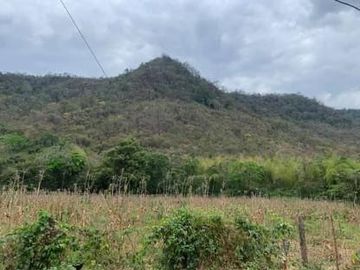 Finca Sasay