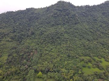 Finca Sasay