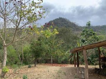 Finca Sasay