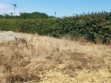 Terreno de venta en Montecristi zona  Sur