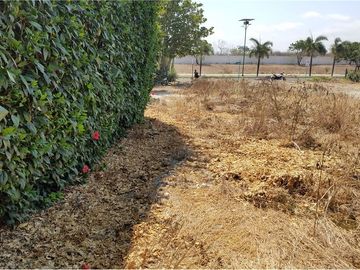 Terreno de venta en Montecristi zona  Sur