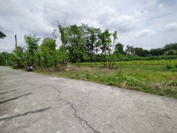 Lebar 5 Meter, Legalitas SHMP; Tanah Kavling Kalasan