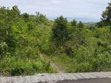 DIJUAL TANAH PEJUKUTAN NUSAPENIDA KLUNGKUNG, BALI
