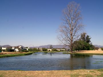 TERRENO VENTA JARDINES DE SAN LORENZO 1149 M2