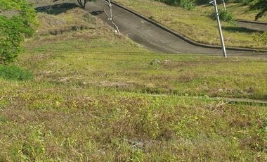 123 Sqm Subdivision Lot for Sale in ASPEN HEIGHTS CONSOLACION Cebu with Scenic MOUNTAIN VIEWS