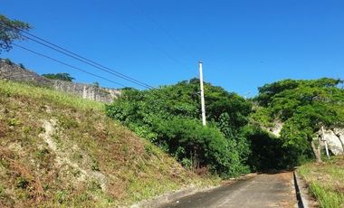 123 Sqm Subdivision Lot for Sale in ASPEN HEIGHTS CONSOLACION Cebu with Scenic MOUNTAIN VIEWS