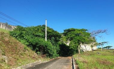 123 Sqm Subdivision Lot for Sale in ASPEN HEIGHTS CONSOLACION Cebu with Scenic MOUNTAIN VIEWS