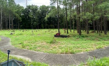 Prime Lot for Sale in Promenade, Santa Rosa