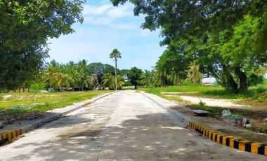 Lot for sale in a fully-developed Valle Verde Cebu Mactan