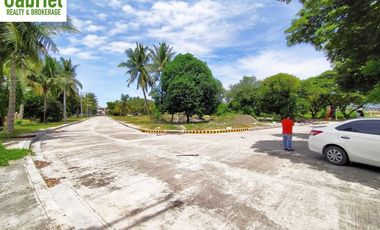 Lot for sale in a fully-developed Valle Verde Cebu Mactan