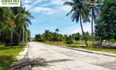 Lot for sale in a fully-developed Valle Verde Cebu Mactan