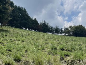 HERMOSO TERRENO CON VISTA PANORÁMICA