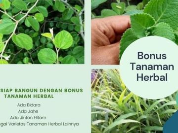 Kavling Murah Maros Dekat Bukit Indah Kapuk jalan Lebar 6 meter