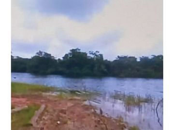 Se Vende Finca Agropecuaria 70 Ha Lago Gatun usd$42,858,oox Ha.