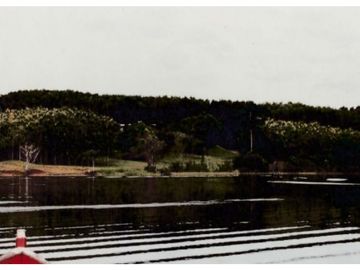 Se Vende Finca Agropecuaria 70 Ha Lago Gatun usd$42,858,oox Ha.