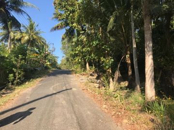 Timur Bandara YIA Tanah Perumahan 12X ANGSUR TANPA BUNGA