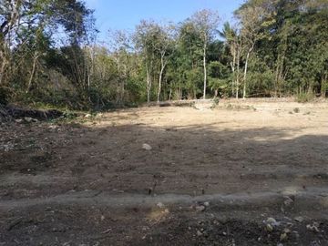 Timur Bandara YIA Tanah Perumahan 12X ANGSUR TANPA BUNGA