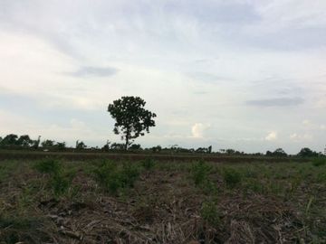 Jual Cepat Tanah Industri Murah Kawasan Raya Mantup