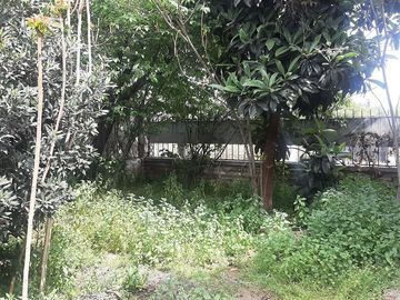 Casa en Venta en Nicanor Molinare