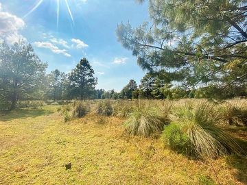 VENTA TERRENO EN VALLE DE BRAVO LOS SAÚCOS