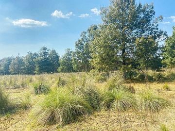 VENTA TERRENO EN VALLE DE BRAVO LOS SAÚCOS