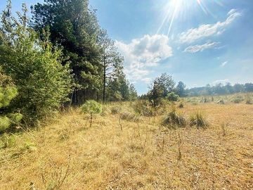 VENTA TERRENO EN VALLE DE BRAVO LOS SAÚCOS