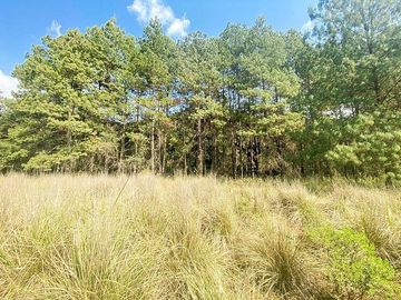 VENTA TERRENO EN VALLE DE BRAVO LOS SAÚCOS