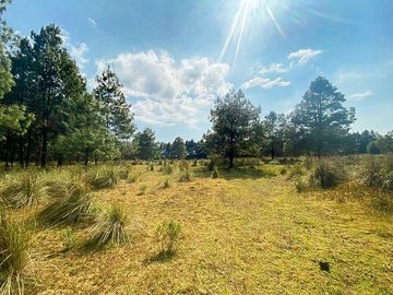 VENTA TERRENO EN VALLE DE BRAVO LOS SAÚCOS