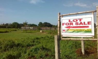 Commercial Lot for Sale in San Juan, La