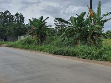 Jual Tanah Komersial di Gunung Putri Bogor