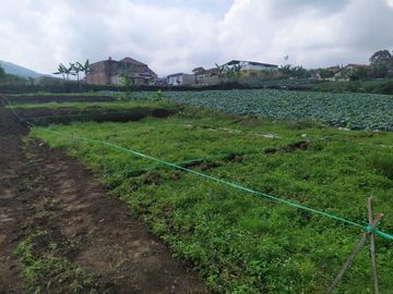 Tanah Kavling Murah Dan strategis Di Cisarua Bandung