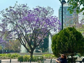 Roma  Venta Joya de departamento con terraza  frente a la fuente de Cibeles