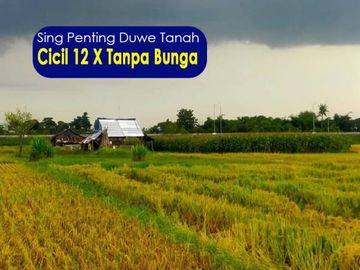 6 Menit Lotte Grosir, Kapling Tegal Hanya 80 Jt-an