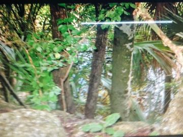 3 Ranchos juntos en Venta en Panabá, cercano a Tizimin