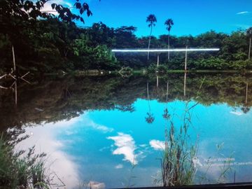 3 Ranchos juntos en Venta en Panabá, cercano a Tizimin