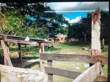 3 Ranchos juntos en Venta en Panabá, cercano a Tizimin