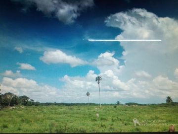 3 Ranchos juntos en Venta en Panabá, cercano a Tizimin