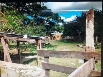 3 Ranchos juntos en Venta en Panabá, cercano a Tizimin