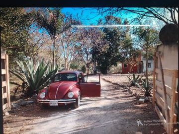3 Ranchos juntos en Venta en Panabá, cercano a Tizimin