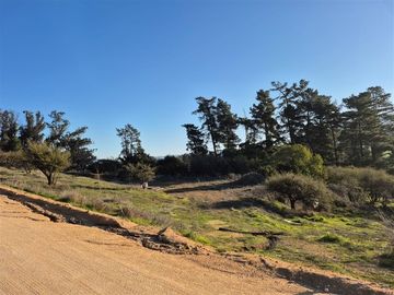 Venta Parcela Terra Casablanca