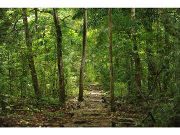 APARTAMENTO EN VENTA - FOREST GATE - ALBROOK