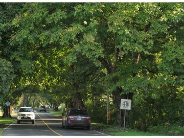 APARTAMENTO EN VENTA - FOREST GATE - ALBROOK