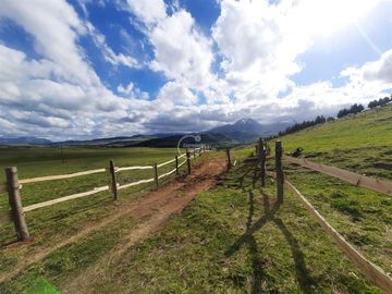 10.000 m2, con factibilidad de Agua y Luz, en Coihaique