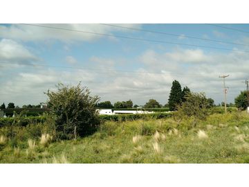 VENDO EXCELENTE CAMPO DE 84 HECTREAS EN ROLÓN - PROVINCIA DE LA PAMPA